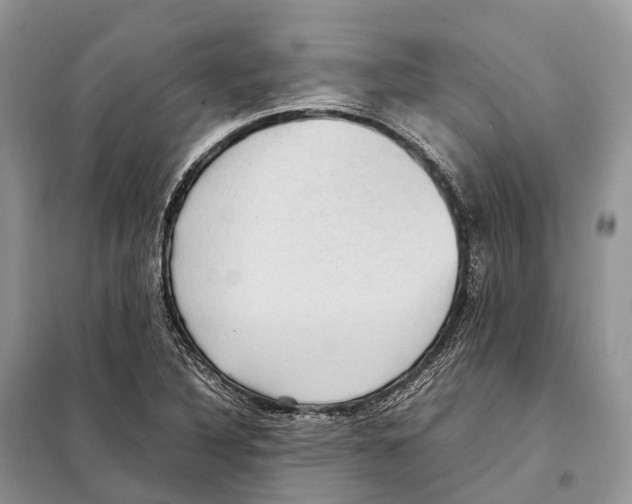 X0000097921316200804111129