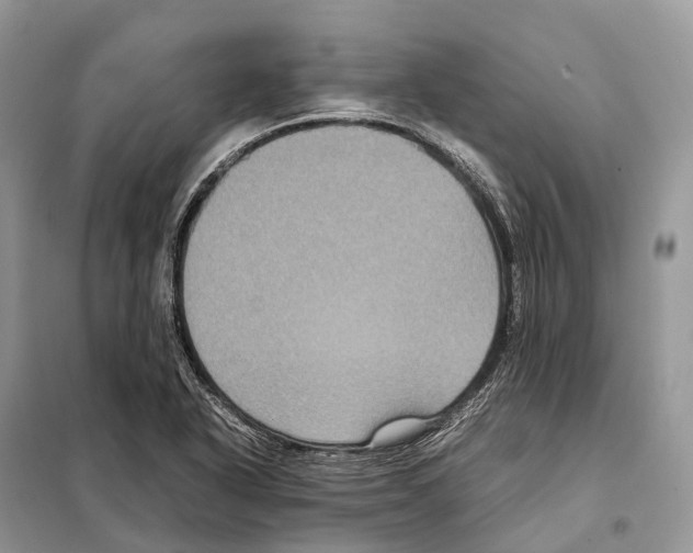 X0000097921318200804111129