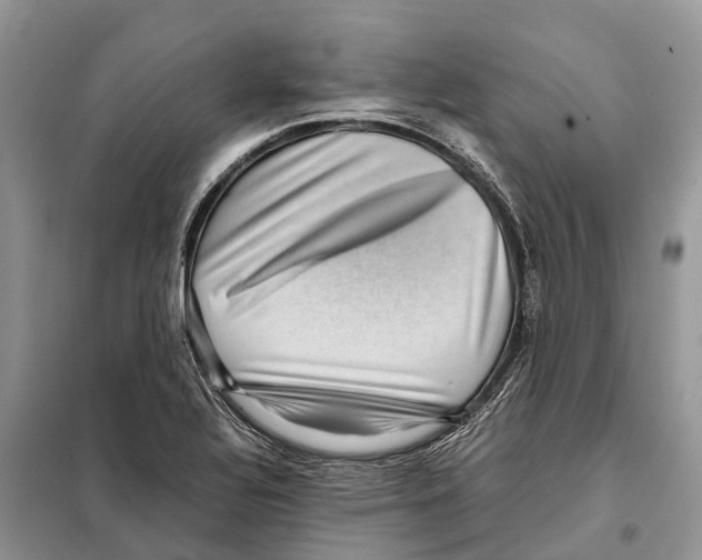 X0000097921320200804111129