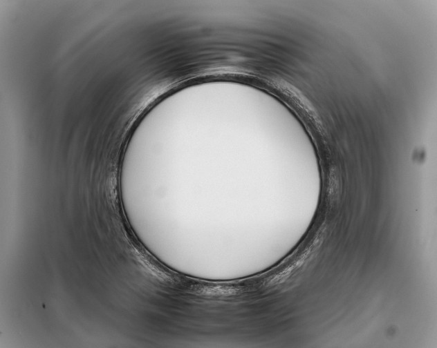 X0000097921321200804111129