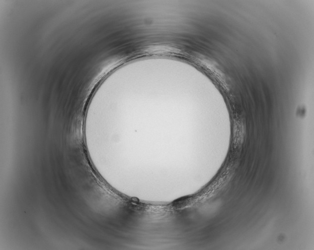 X0000097921322200804111129