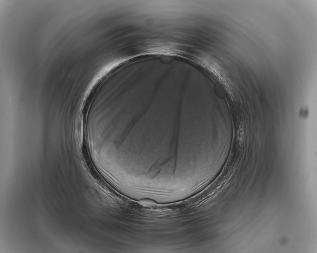 X0000097921323200804111129