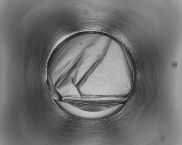 X0000097921324200804111129