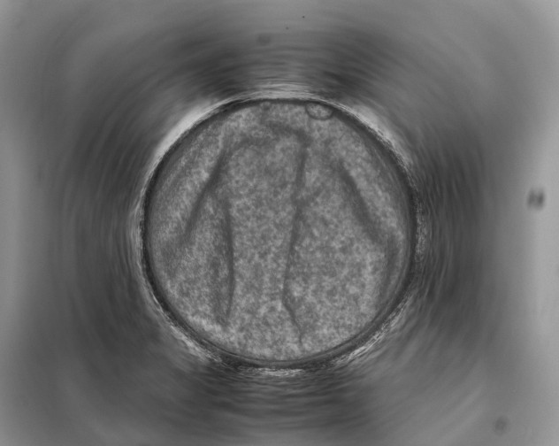 X0000097921325200804111129