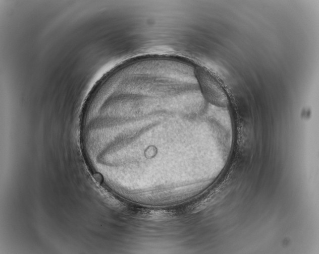 X0000097921326200804111129