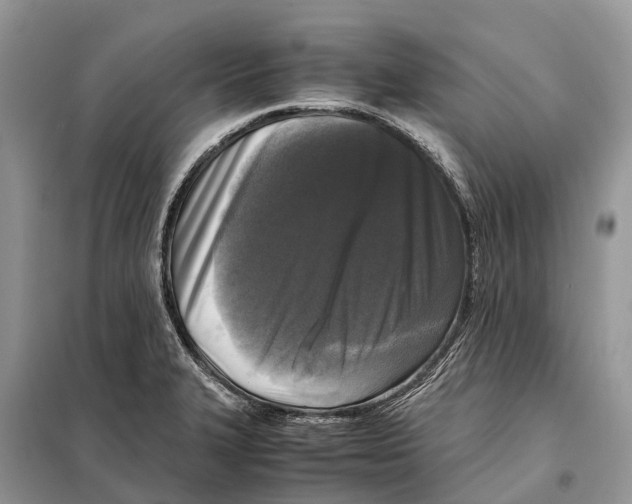 X0000097921327200804111129