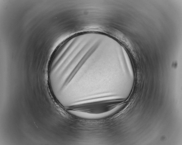 X0000097921328200804111129