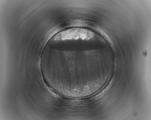 X0000097921329200804111129