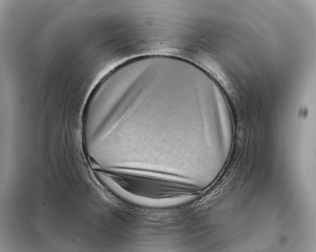 X0000097921332200804111129