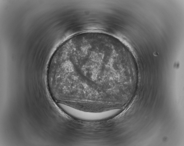 X0000097921333200804111129