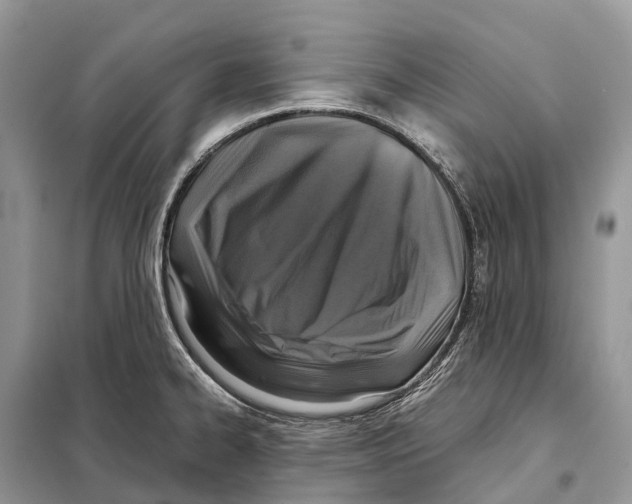 X0000097921334200804111129