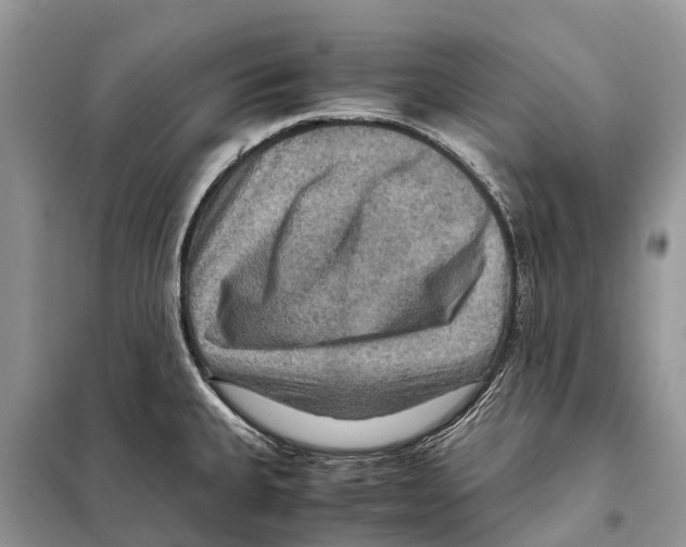 X0000097921335200804111129