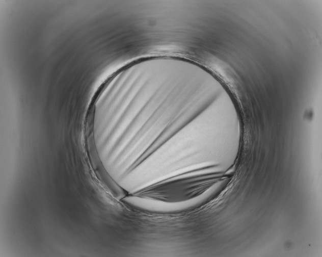 X0000097921336200804111129