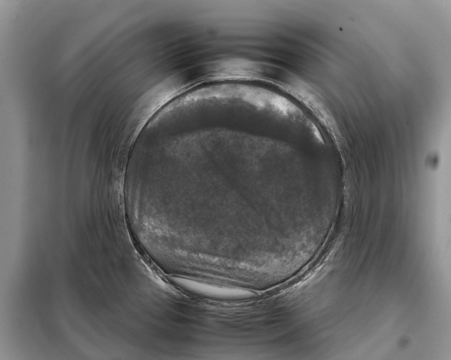 X0000097921337200804111129