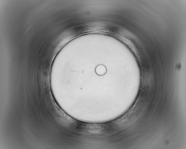 X0000097921338200804111130