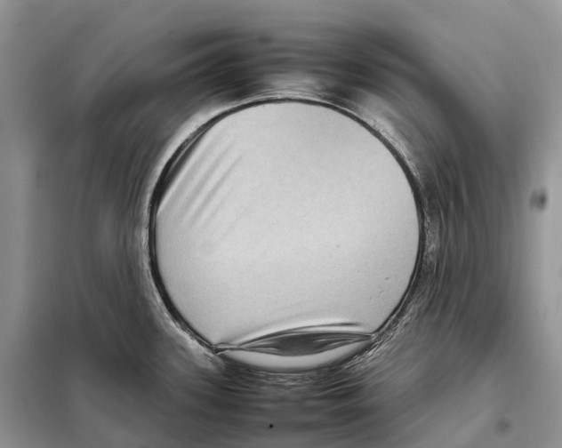 X0000097921339200804111130