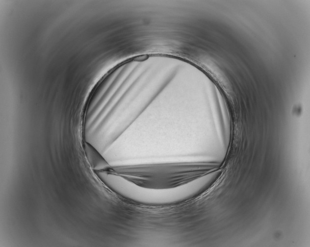 X0000097921340200804111130