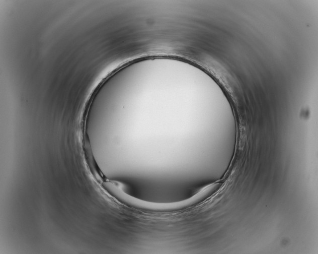 X0000097921342200804111130