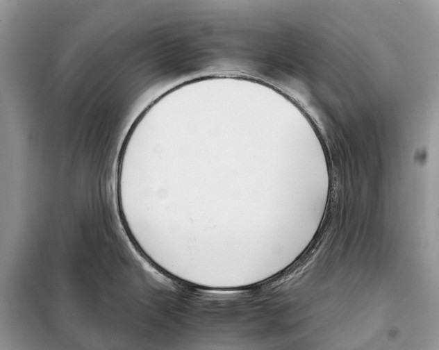 X0000097921343200804111130