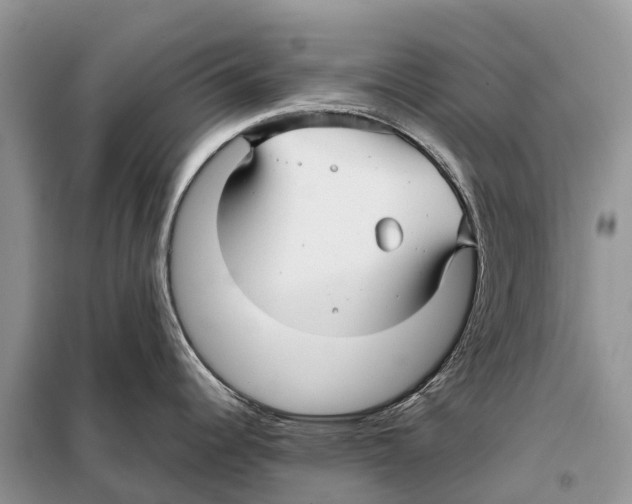 X0000097921344200804111130