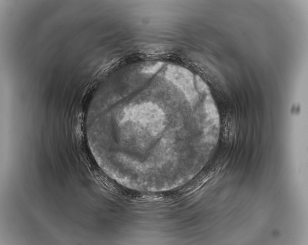 X0000097921346200804111129