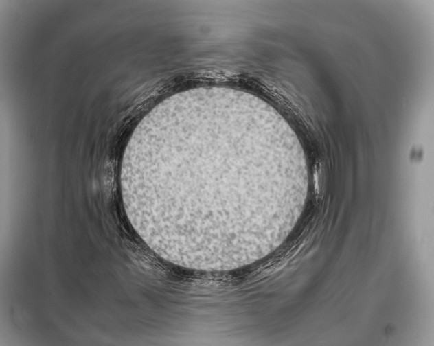 X0000097921347200804111129