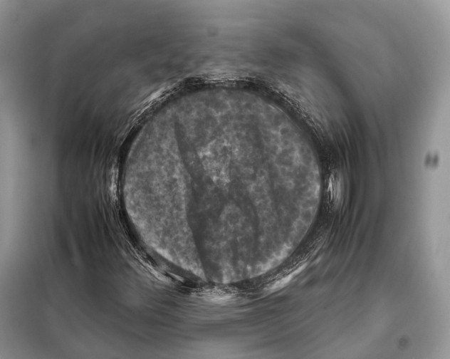 X0000097921348200804111129