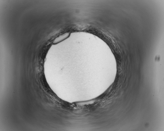 X0000097921349200804111129