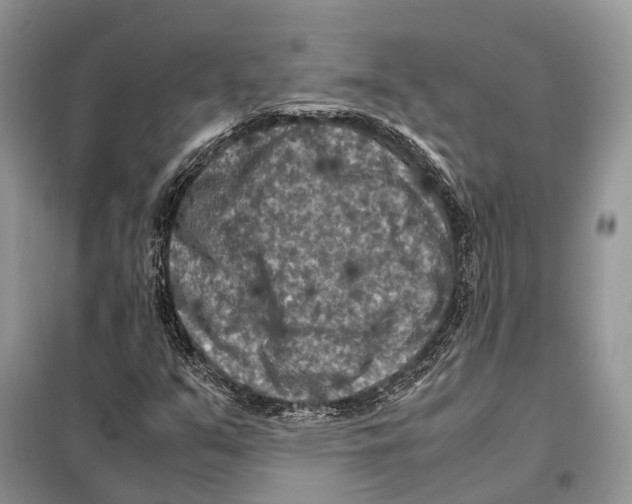 X0000097921351200804111129