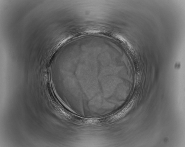 X0000097921353200804111129