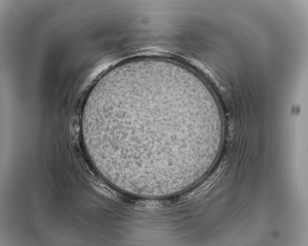 X0000097921355200804111129