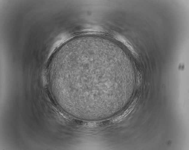 X0000097921357200804111129