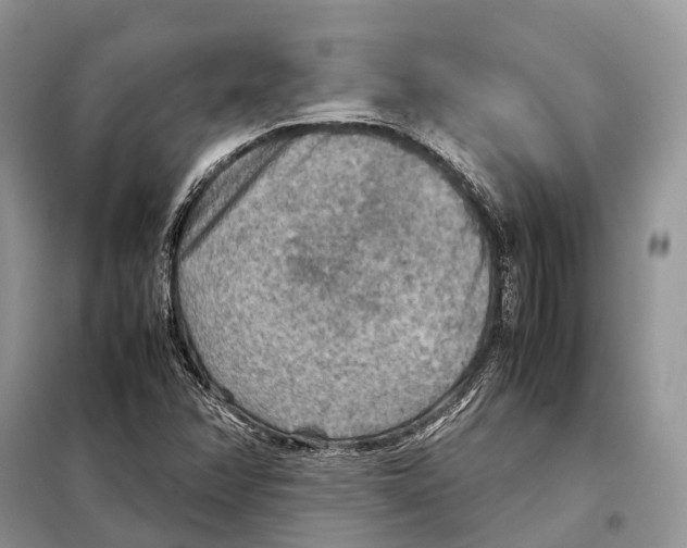 X0000097921358200804111129