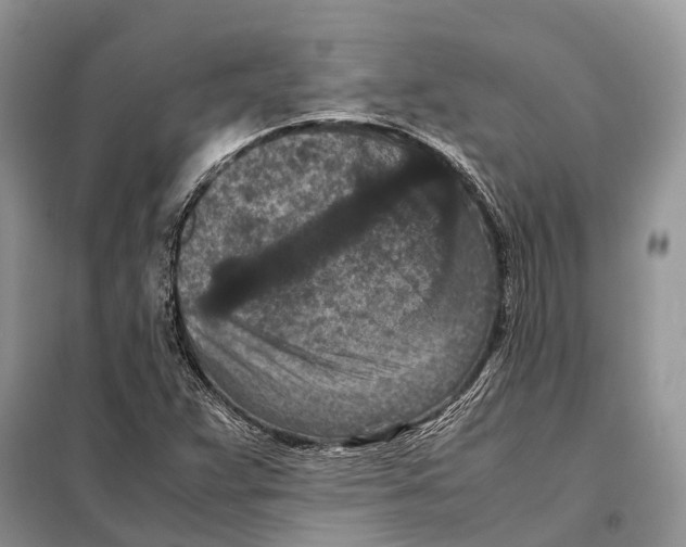 X0000097921359200804111129