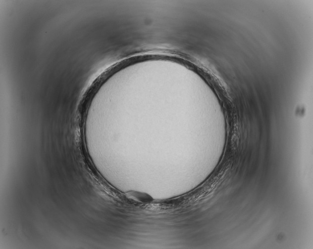 X0000097921360200804111129