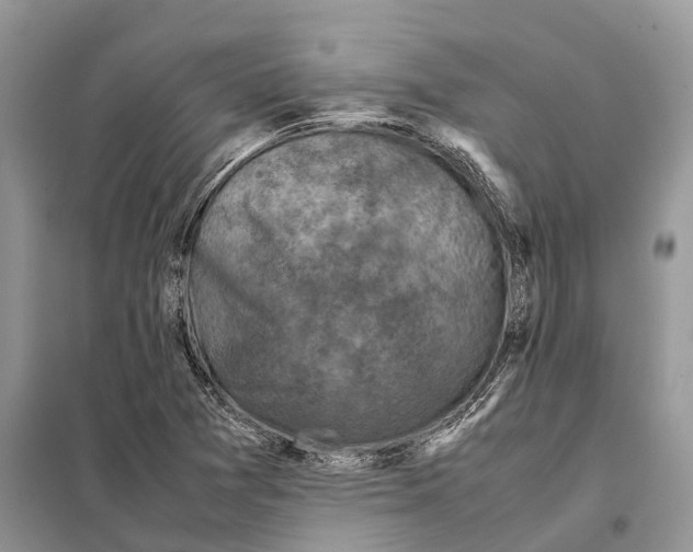 X0000097921361200804111129