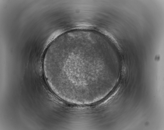 X0000097921362200804111129