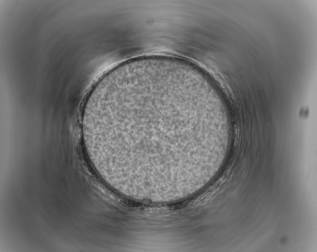 X0000097921363200804111128