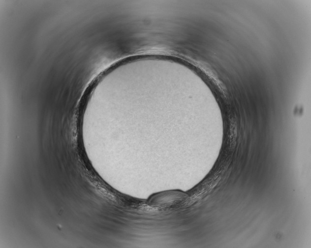 X0000097921364200804111128