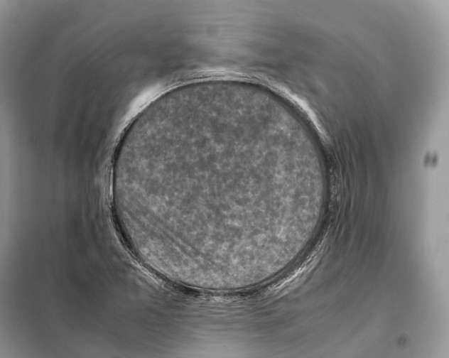 X0000097921365200804111128