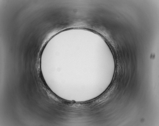 X0000097921366200804111128