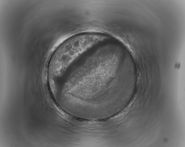 X0000097921367200804111128