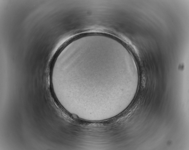 X0000097921368200804111128