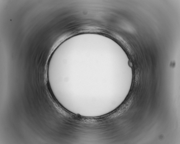 X0000097921370200804111128