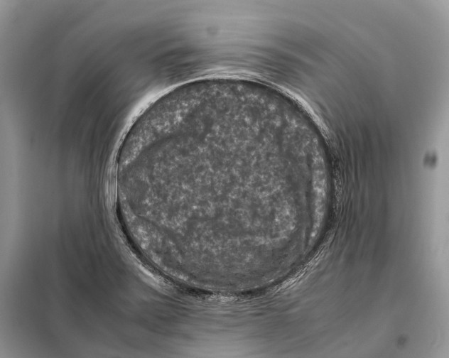 X0000097921371200804111128