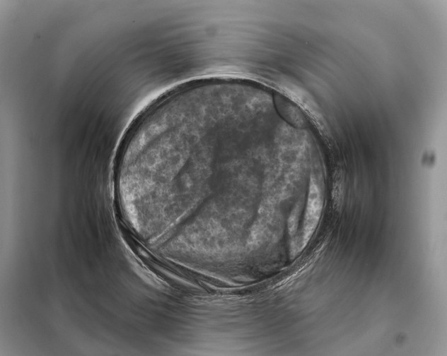 X0000097921372200804111128