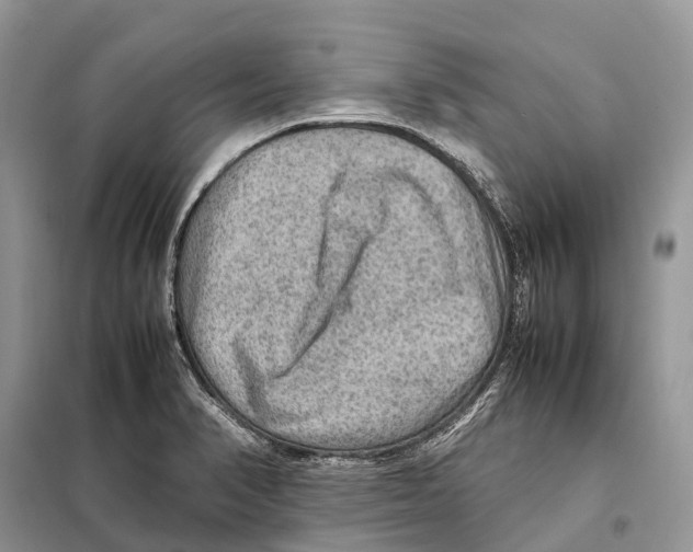 X0000097921374200804111128