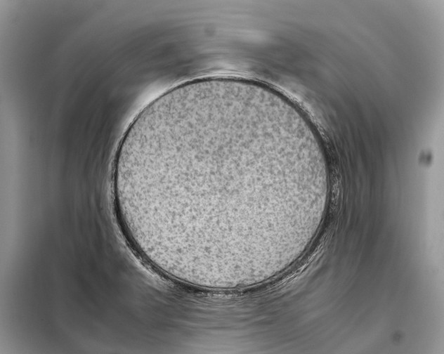 X0000097921375200804111128