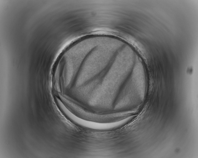 X0000097921376200804111128