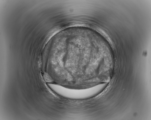 X0000097921377200804111128